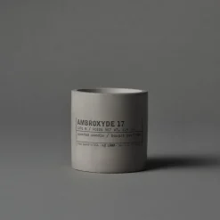 AMBROXYDE 17