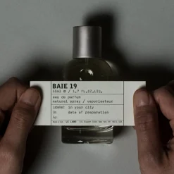 BAIE 19
