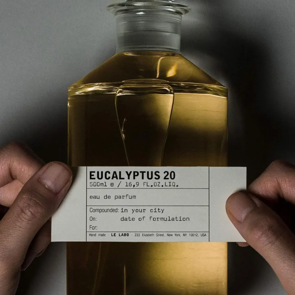 EUCALYPTUS 20