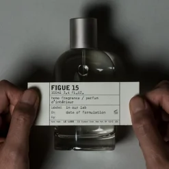 FIGUE 15