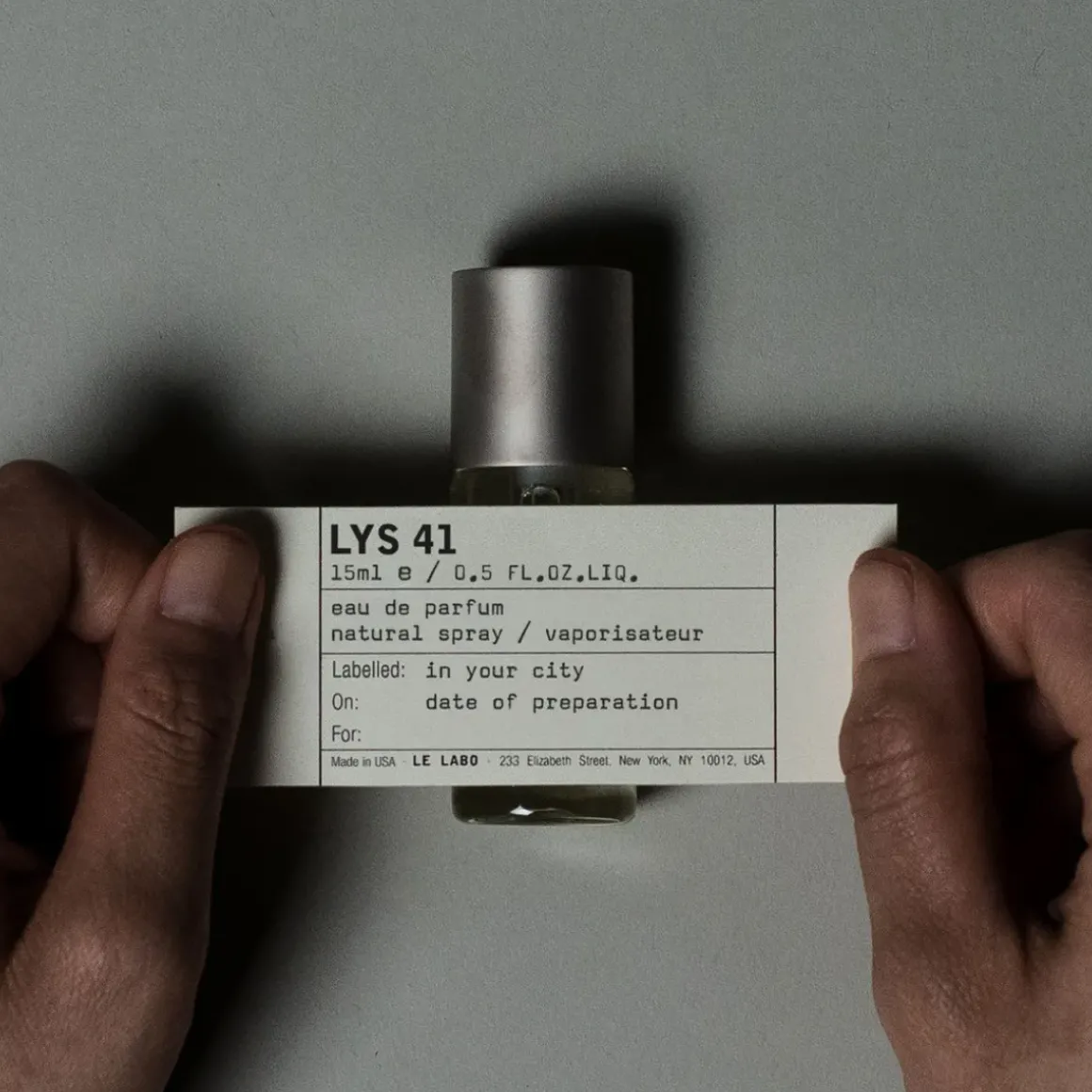 LYS 41